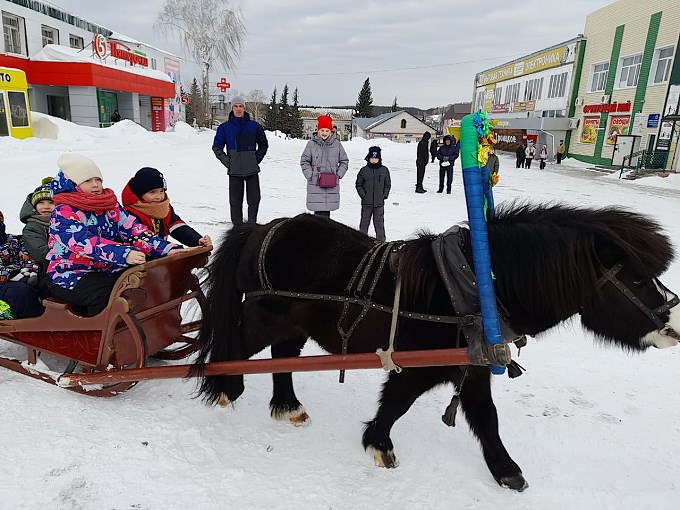 Пони везёт детей на санях