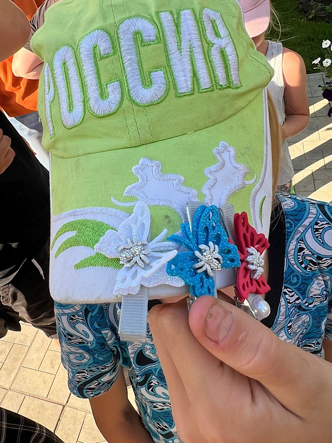 Заколки на бейсболке