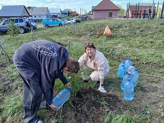 Мужчина поливает водой из бутыли высаженную ель