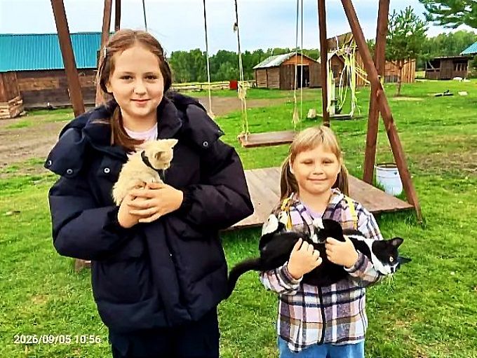 Две девочки держат на руках подросших котят